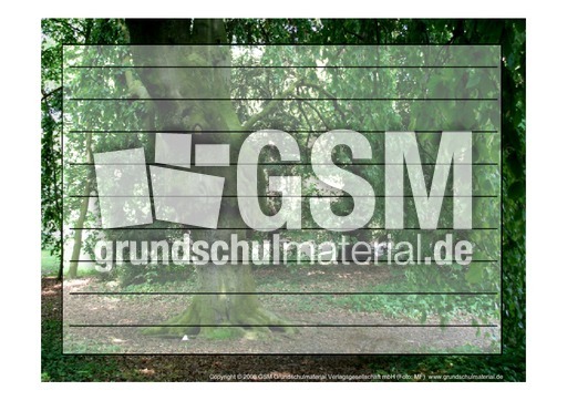 Foto-Schmuckblatt-Bäume-14.pdf